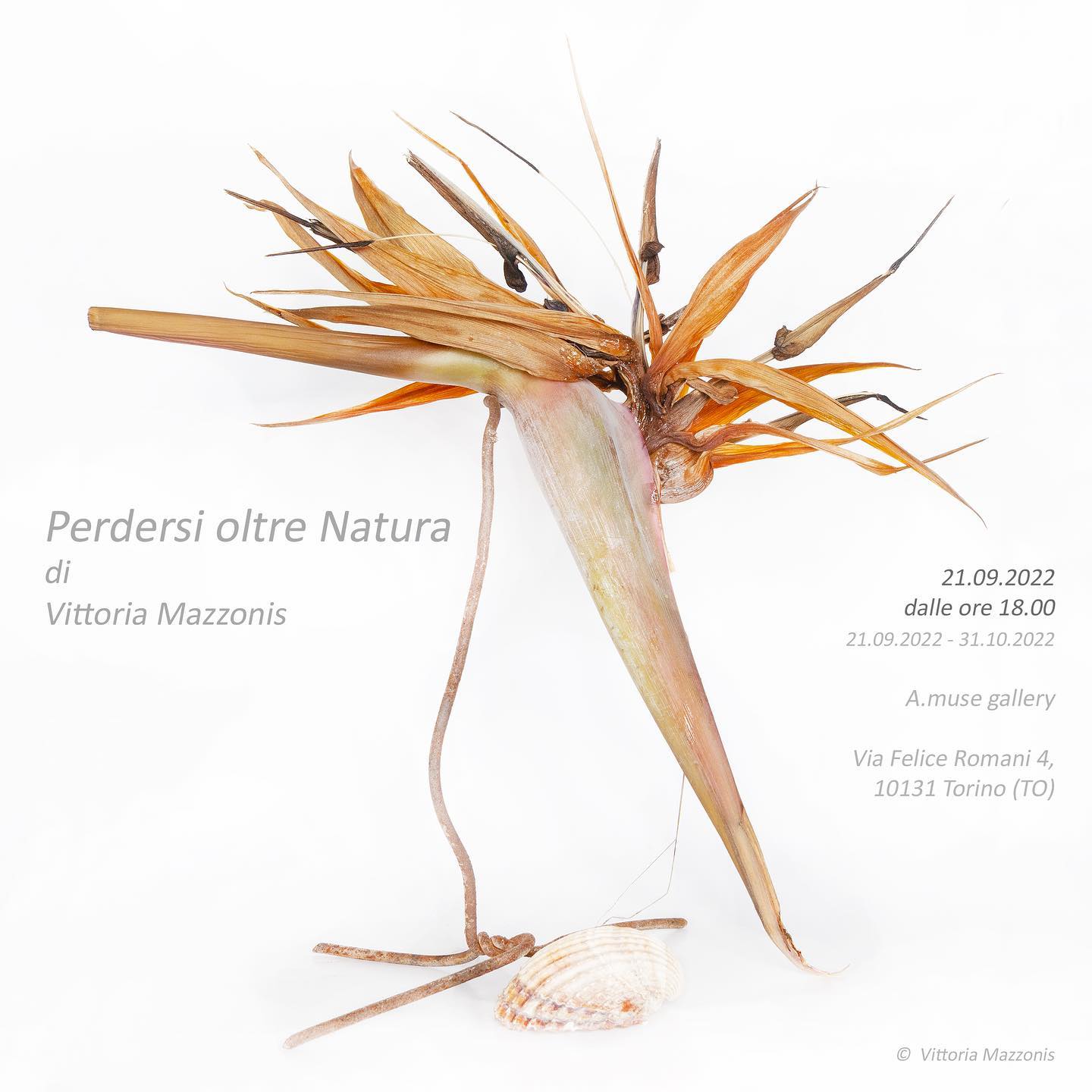 Vittoria Mazzonis – Perdersi oltre Natura